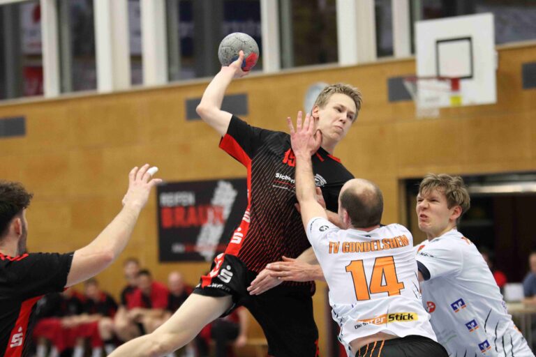 SG H/H II : TV Gondelsheim 33 : 29 (16:13)SG H/H II : TV Gondelsheim 33 : 29 (16:13)SG H/H II : TV Gondelsheim 33 : 29 (16:13)