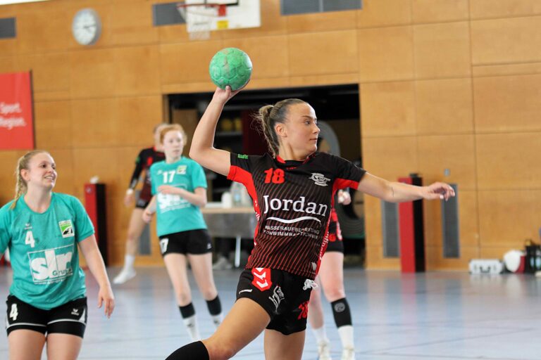 SG H/H : KuSG Leimen 37 : 15 (17:6)