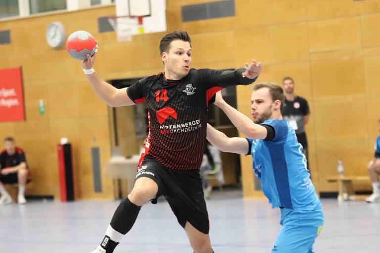 SG H/H : TV Friedrichsfeld 28 : 26 (13:16)