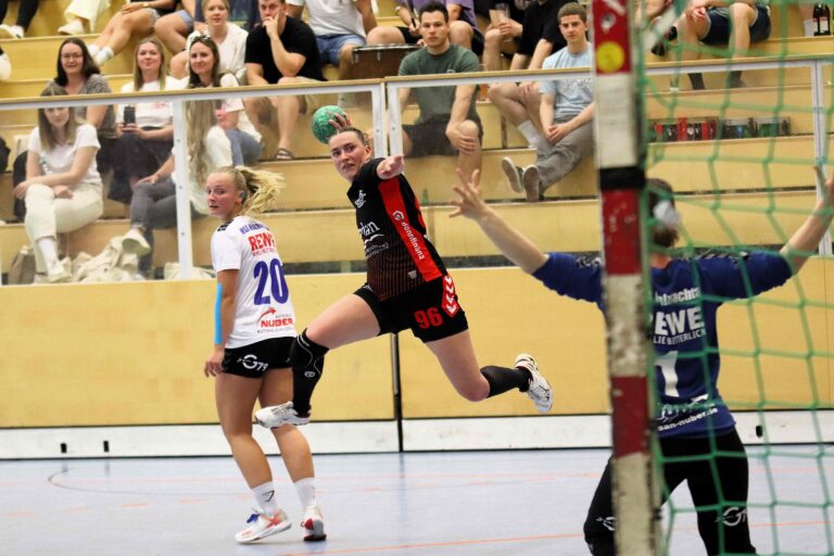 SG H/H : HSG Walzbachtal 31 : 39 (13:21)