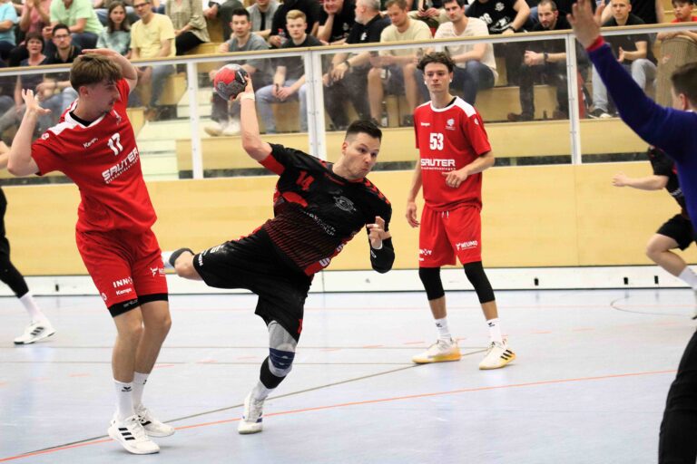 SG H/H : TSV Knittlingen 27 : 22 (11:13)