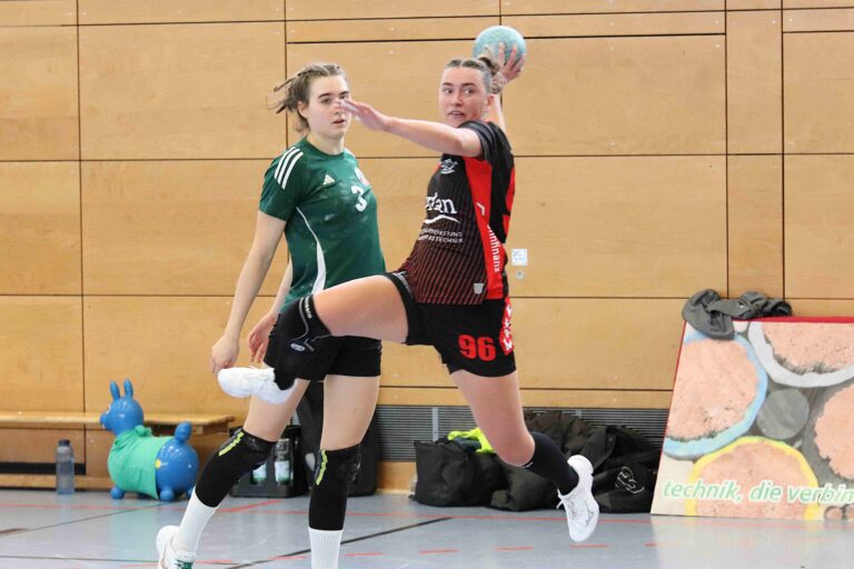 SG H/H : SG KIT/MTV Karlsruhe 22 : 26 (9:12)