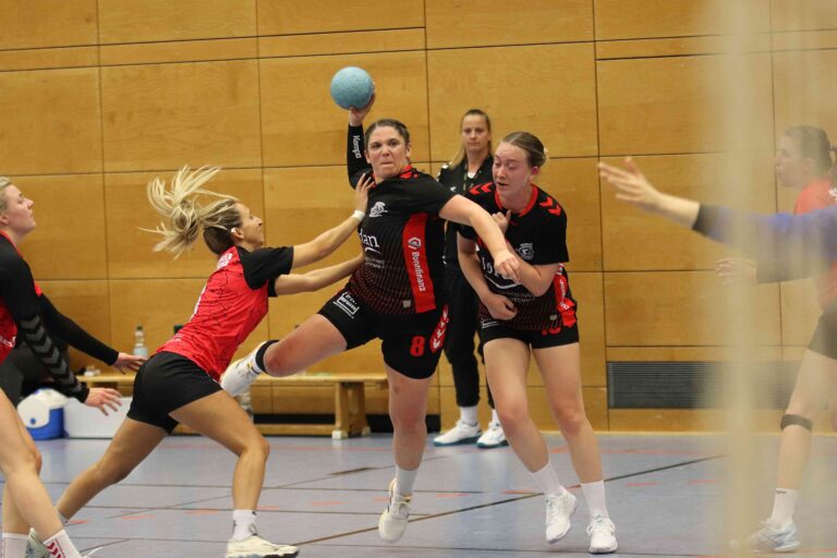 SG H/H : SG Ottersweier/Großweier 22 : 21 (12:9)