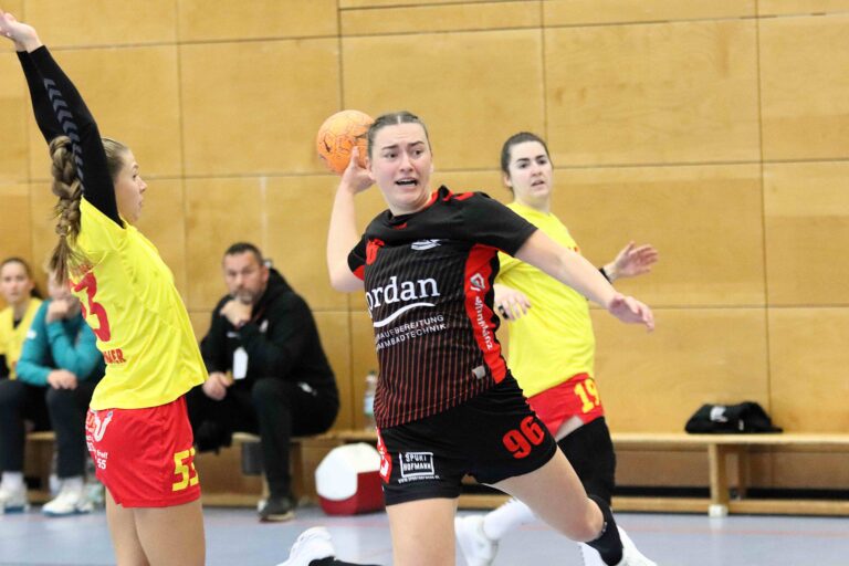 SG H/H : Saase3/Leutershausen Handball 33 : 20 (15:11)